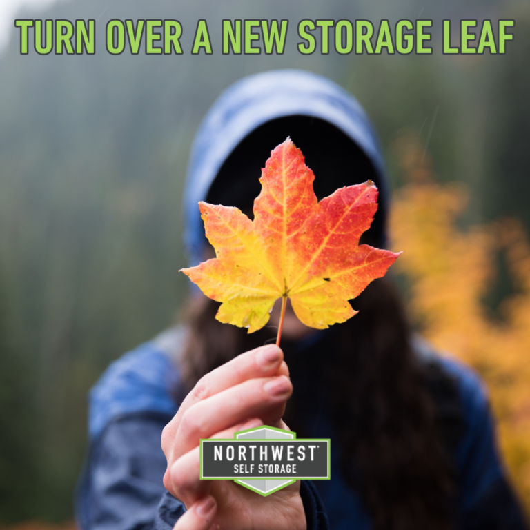 11_NW Leaf