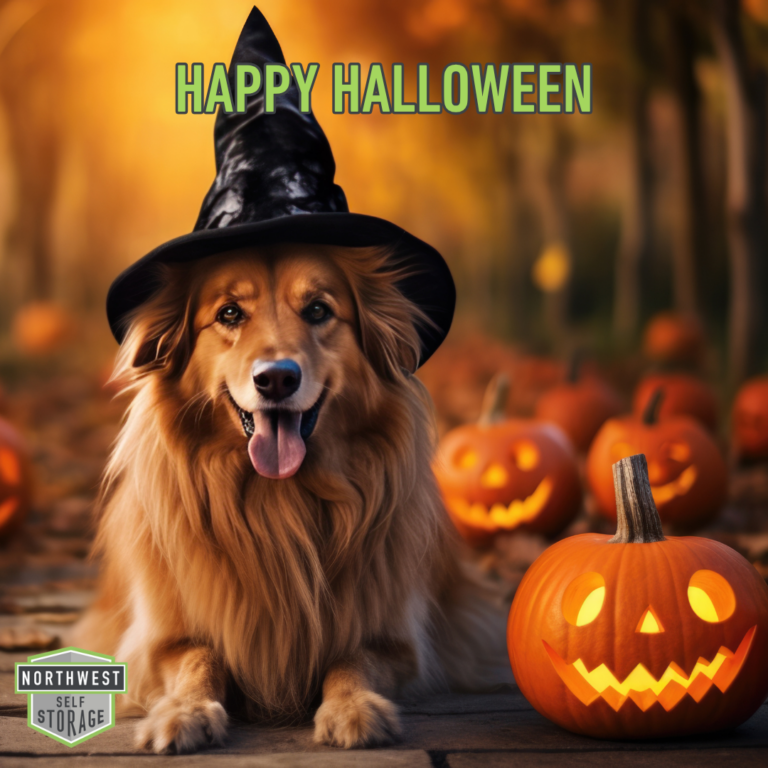 14_NW Halloween