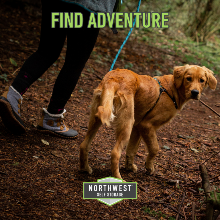 16_NW Adventure