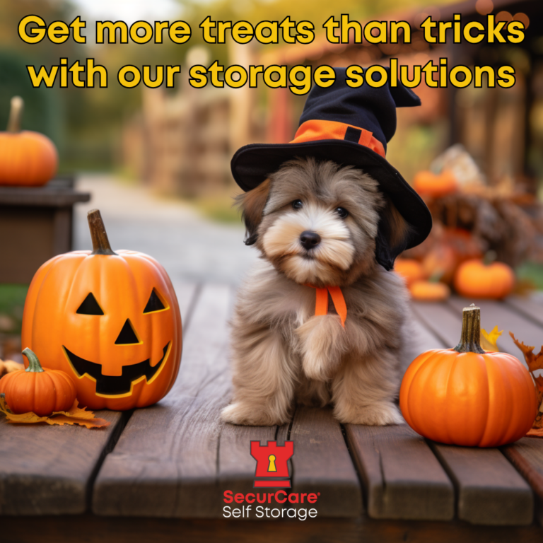 1_SC Treats