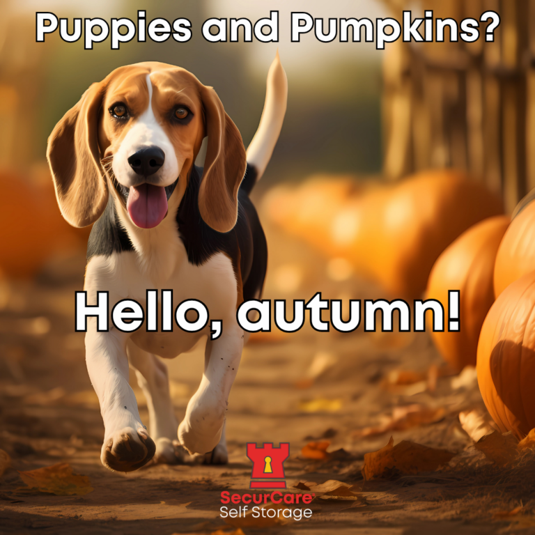 6_SC Puppies