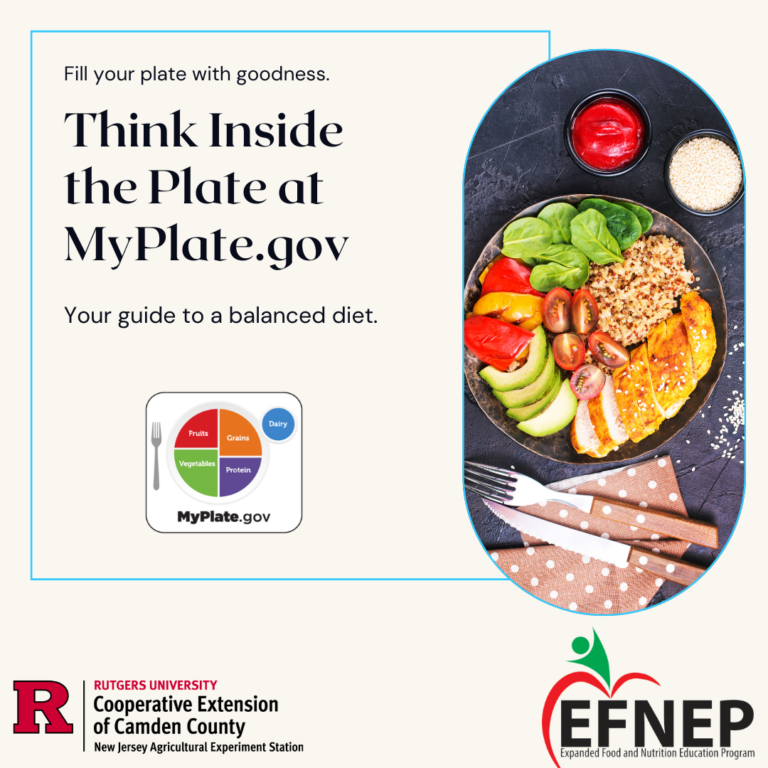 ThinkInsideThePlate